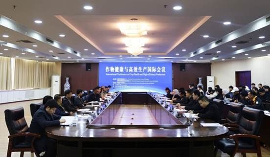 6d8993bfd30eb9fe3fee9aa2f7ae15ba